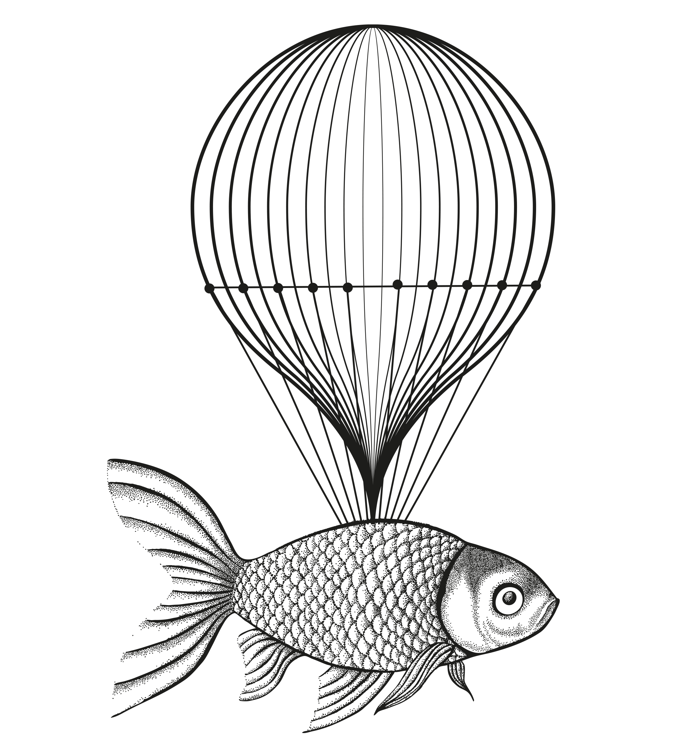 flying_fish