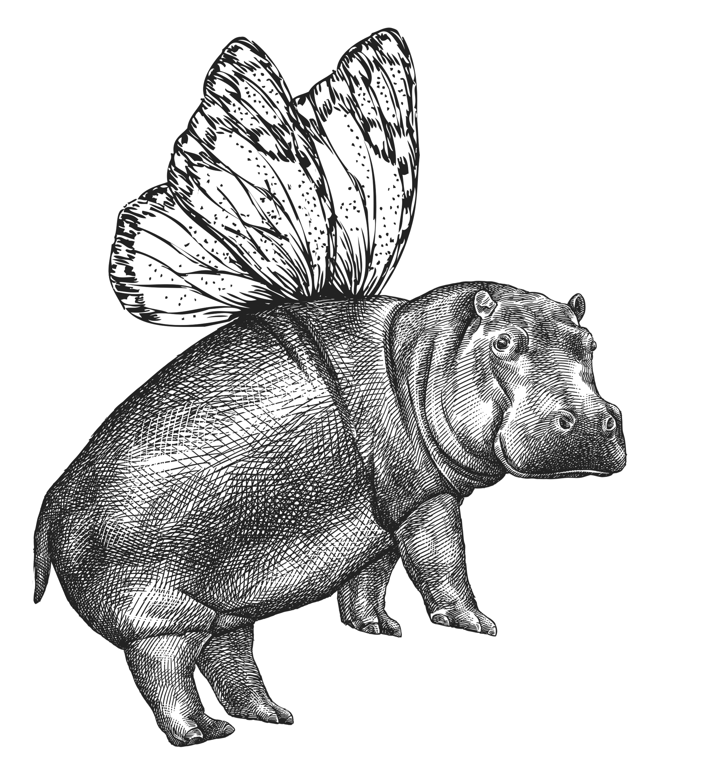 flying_hippo